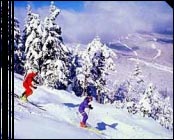 Killington Hot Deal