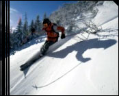 Stowe Hot Deal